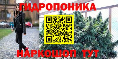 стафф Ипатово