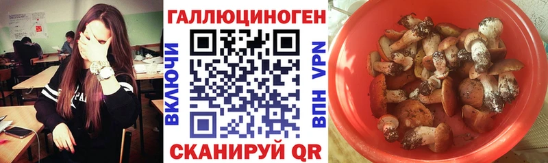 Псилоцибиновые грибы ЛСД  Камышлов 