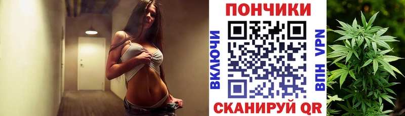 дарк нет наркотические препараты  Камышлов  МАРИХУАНА планчик 